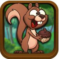 Feed The Squirrel: Challenge your Brain!