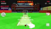 cricket bowling 3d 2017 Screen Shot 0