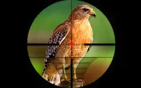 Охота на птиц Снайперская стрельба 2018 Screen Shot 1