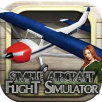 Simulateur de vol du Cessna 3D