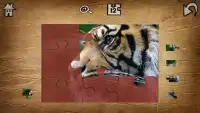 Cute Animal Jigsaw Puzzles Screen Shot 2