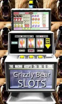 3D Grizzly Bear Slots - Free Screen Shot 0
