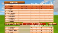 Cricket Star 2016 Screen Shot 6