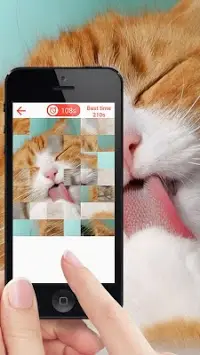 Quebra-cabeça jogo de gatos Screen Shot 0