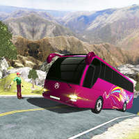 Mountain Bus Driver 2021