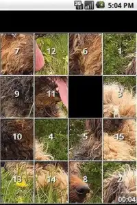 Terrier Puppy and Dog Puzzles Screen Shot 0