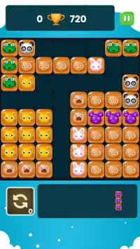 Block Puzzle Legend - Block Puzzle Classic Screen Shot 7