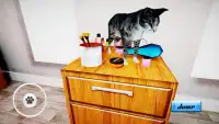 Cat Simulator : Kitten Screen Shot 3
