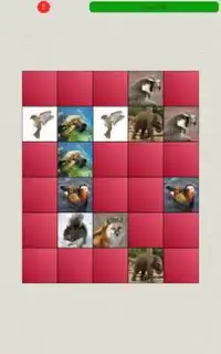 Animals Matching Game Screen Shot 6
