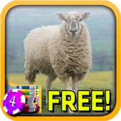 3D Sheep Slots - Free