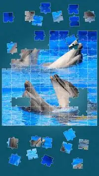 Dolphins Jigsaw Puzzle Screen Shot 6