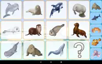 Звуки морских животных (развивающая детская игра) Screen Shot 15