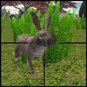 Rabbit Hunter 2016