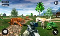 Tiger Hunting game: Zoo Animal Shooting 3D 2020 Screen Shot 2
