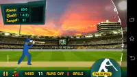World Cricket I.P.L T20 2017 Screen Shot 3