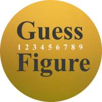 Guess Figure