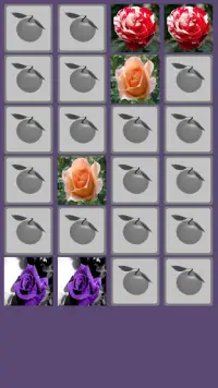 Rose Memory Game Screen Shot 3
