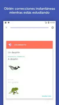 Quizlet: Aprende idiomas y vocabulario Screen Shot 2