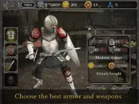 Knights Fight: Medieval Arena Screen Shot 18