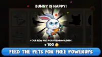 Bingo:  Free the Pets Screen Shot 11
