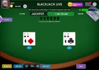 Blackjack Frenzy Screen Shot 1