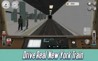 New York Subway Simulator 3D Screen Shot 1