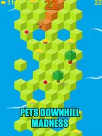 Pets Downhill Madness - Game Screen Shot 6