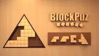 BlockPuz: Wood Block Puzzle Screen Shot 6