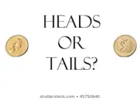 Heads or Tails Screen Shot 1