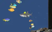 Angry Shark Adventure 3D Screen Shot 2