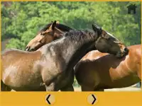 cavalos e jogos para crianças Screen Shot 4