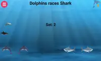 Dolphins races Sharks Screen Shot 2