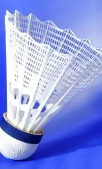 Badminton quebra-cabeças Screen Shot 1