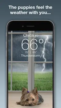 Weather Puppy - App & Widget Screen Shot 1