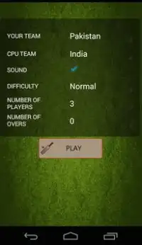 Casual Cricket Screen Shot 1