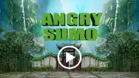 Angry Sumo Screen Shot 0
