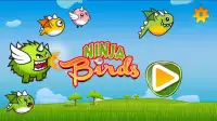 Ninja Birds Screen Shot 0