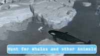 Killer Whale Orca Simulator Screen Shot 1