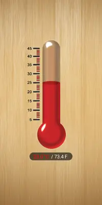 Thermometer Screen Shot 0