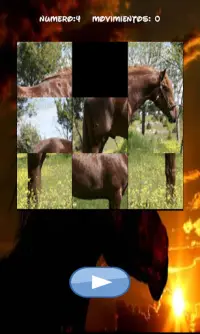 Horses Puzzle, find out which one is hidden. Screen Shot 5