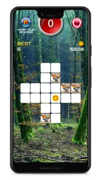 Quick Puzzle - Birds Block Puzzle Screen Shot 2
