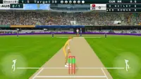 T20 Cricket Cup 2018 Screen Shot 4