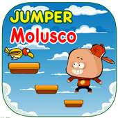 Jumper Molusca