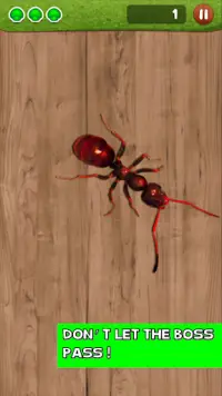 Ant Smasher by Best Cool & Fun Games Screen Shot 4
