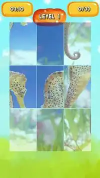 Seahorse Jigsaw Puzzles Screen Shot 2