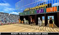con chó hoang dã greyhound đua Screen Shot 1