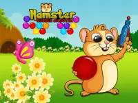 hamster bubble shooter Screen Shot 0