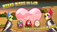 Bird Land Paradise: Pet Shop Game, Play with Bird Screen Shot 12