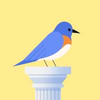 Bouncy Bird: juego de aves