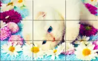 Puzzle - kittens Screen Shot 2